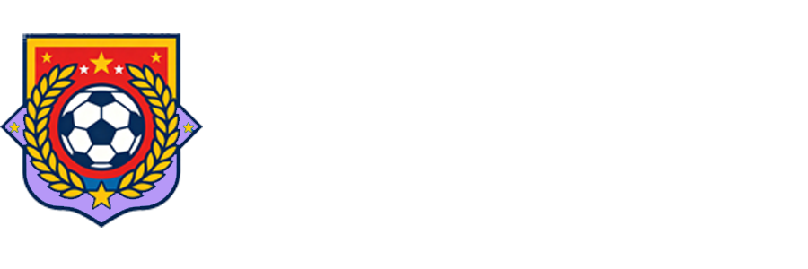 世界杯淘汰赛直播